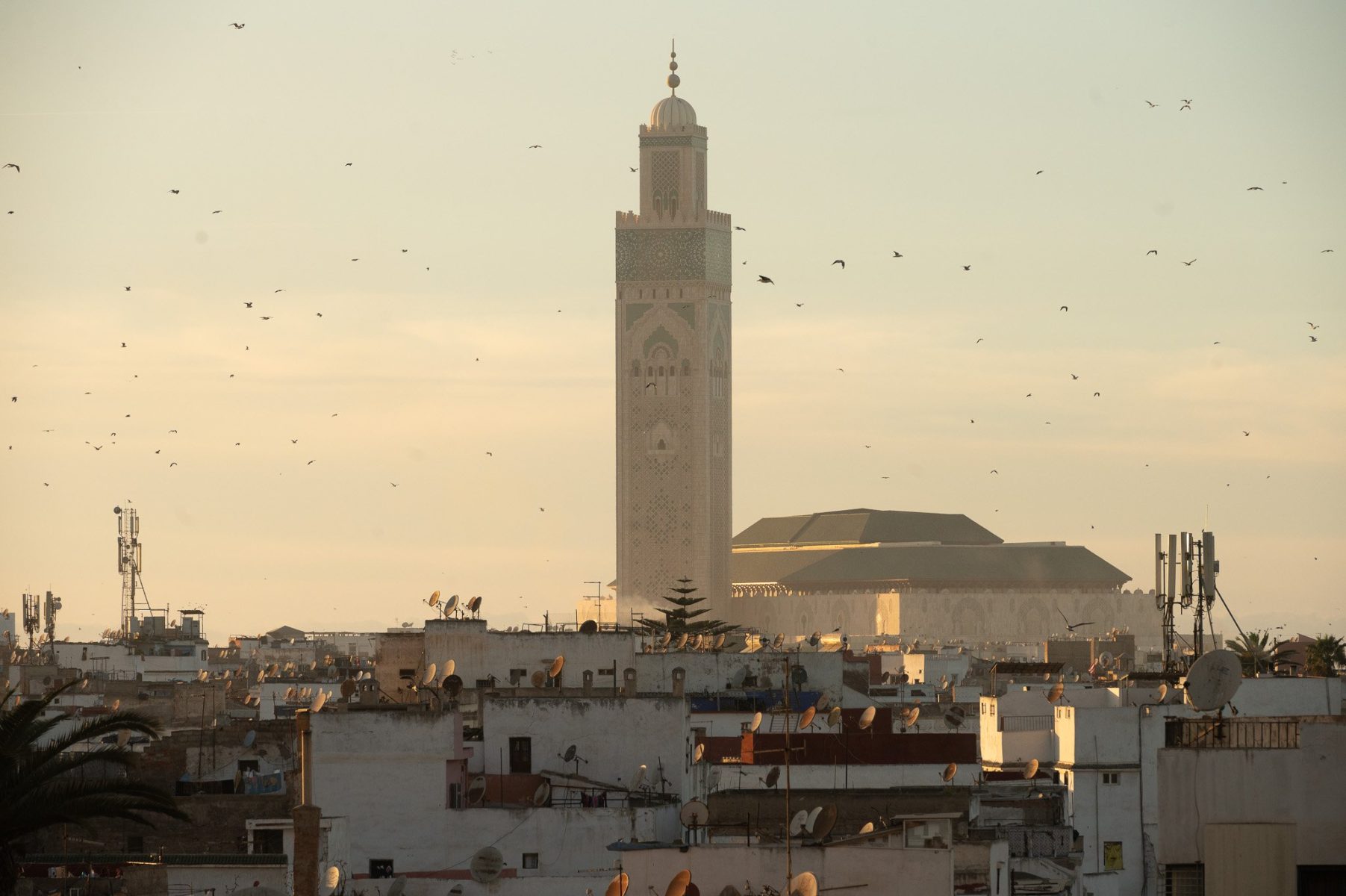 Mmc Event Receptif Tours Operateurs Leader Au Maroc ALI 6688