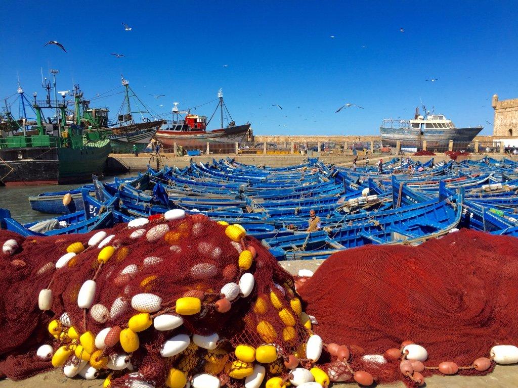 Mmc Event Receptif Tours Operateurs Leader Au Maroc Marrakech En Riad14