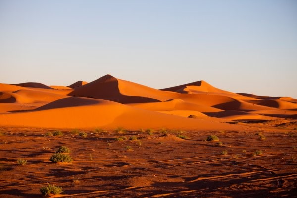 Mmc Event Receptif Tours Operateurs Leader Au Maroc Zagora07