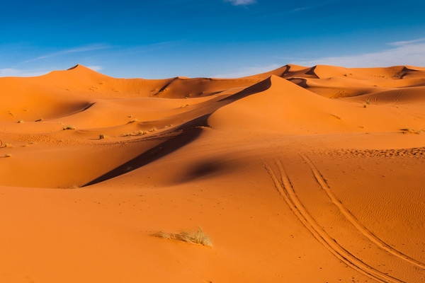 Mmc Event Receptif Tours Operateurs Leader Au Maroc Circuits Marrakech Merzouga04