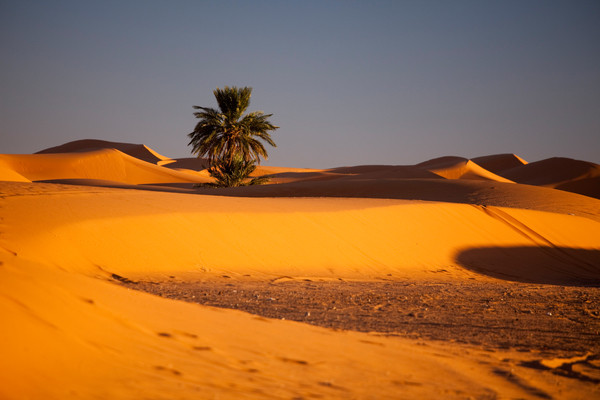 Mmc Event Receptif Tours Operateurs Leader Au Maroc Circuits Marrakech Merzouga07